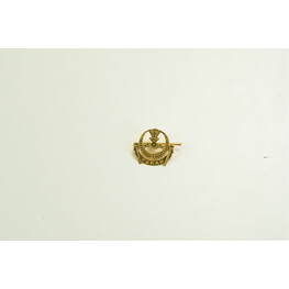 CAP BADGE PERAK